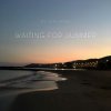 Portada DJ Calypso - Waiting for Summer 2026 DJ Calypso - Waiting for Summer 2026