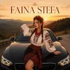 Portada Faina Stefa - Крути мене у тачці! Faina Stefa - Крути мене у тачці!