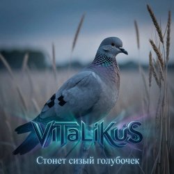 Portada ViTaLiKuS - Стонет сизый голубочек