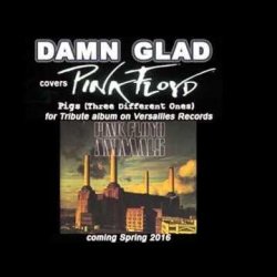 Portada DAMN GLAD - Pigs