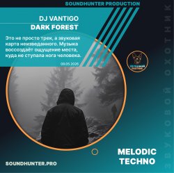 Portada DJ VANTIGO - Dark Forest