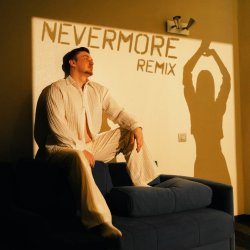 Portada der Flaum - nevermore (remix)