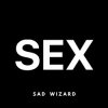 Portada Sad Wizard - SEX Sad Wizard - SEX