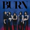 ARTMS - BURN
