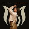 Portada Aurosonic & Sharon Valerona - Horizon (Extended Mix) Aurosonic & Sharon Valerona - Horizon (Extended Mix)