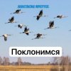Portada Анастасия Иркутск - Поклонимся Анастасия Иркутск - Поклонимся