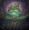 Portada GABBГ - Mycelium Protocol GABBГ - Mycelium Protocol