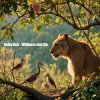 Portada Dolby D&G - Wildness and life Dolby D&G - Wildness and life