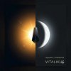 Portada ViTaLiKuS - Чудское (Chudskoye) (Original Chill Mix) ViTaLiKuS - Чудское (Chudskoye) (Original Chill Mix)