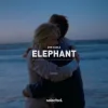 Portada Don Diablo - Elephant Don Diablo - Elephant