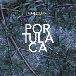 Portada Colleoni - Sinonimi E Contrari