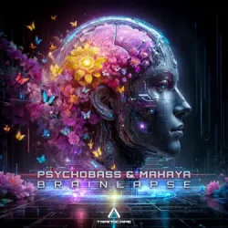 Portada Psychobass - The Mystery