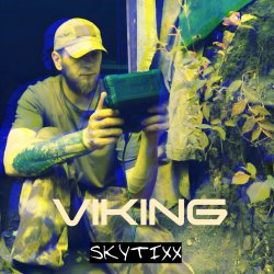 Portada Viking (Original Mix)