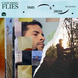 Portada Catching Flies - When It's Late