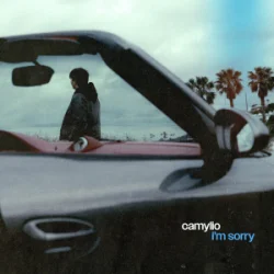 Portada Camylio - i'm sorry (Dj Vianu Remix)