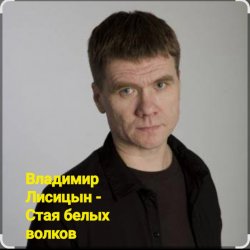 Portada Владимир Лисицын - Стая белых волков
