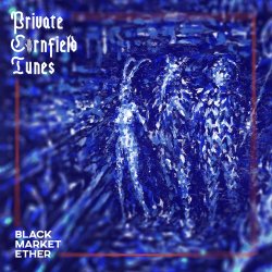 Portada Private Cornfield Tunes - Narcotic Fog Syndicates