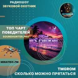 Portada TMGrom - Сколько можно прятаться (soundhunter.pro)