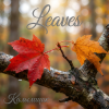 Portada Калымщик - Leaves Калымщик - Leaves