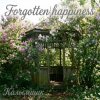 Portada Калымщик - Forgotten happiness Калымщик - Forgotten happiness