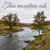 Portada Калымщик - Thin mountain ash Калымщик - Thin mountain ash