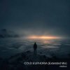 Portada ViTaLiKuS - COLD EUPHORIA (Extended Mix) ViTaLiKuS - COLD EUPHORIA (Extended Mix)