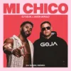 Portada Dj Goja & Jason Derulo - Mi Chico (Dj Dark Remix) Dj Goja & Jason Derulo - Mi Chico (Dj Dark Remix)