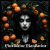 Portada DJ Katya Kadykov - Eine kleine Mandarine DJ Katya Kadykov - Eine kleine Mandarine