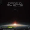 Portada Armin van Buuren & Silver Panda - Here In My Arms (Enjoy The Silence) Armin van Buuren & Silver Panda - Here In My Arms (Enjoy The Silence)