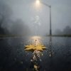 Portada Роман - ОСЕНЬ Роман - ОСЕНЬ
