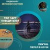 Portada ZAVYAL - Пепел в ночи ZAVYAL - Пепел в ночи