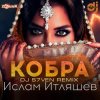 Portada Ислам Итляшев - Кобра (DJ S7ven Radio Edit) Ислам Итляшев - Кобра (DJ S7ven Radio Edit)