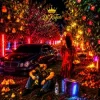 Portada DJ KAIFAR - В садах DJ KAIFAR - В садах