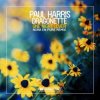 Portada Paul Harris, Dragonette - One Night Lover (Nora En Pure Instrumental Club Mix) Paul Harris, Dragonette - One Night Lover (Nora En Pure Instrumental Club Mix)