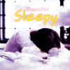 Portada EnigmaBird - Sleepy EnigmaBird - Sleepy