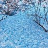 Обкладинка Прицесса Бурунди - А пока лип синий снег Прицесса Бурунди - А пока лип синий снег
