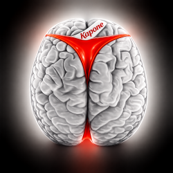 Portada Brains 5 [2019]