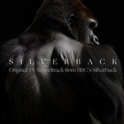 Portada Silverback - Aventador