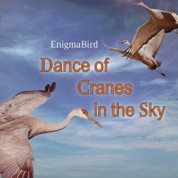 Portada Dance of Cranes in the Sky