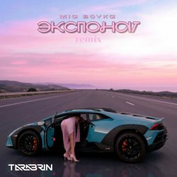 Portada Экспонат (TARABRIN Radio Remix)