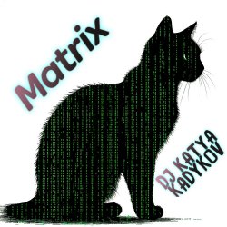 Portada DJ Katya Kadykov - Matrix (minatrix_edition)
