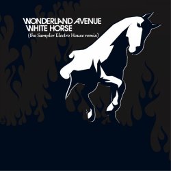 Portada White Horse (the Sampler Electro House remix)