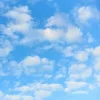 Обкладинка Костя Батог - В синеве моего неба Костя Батог - В синеве моего неба