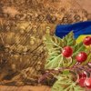 Portada Червона калина - Ой служив же я у пана Червона калина - Ой служив же я у пана