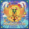 Portada Drukverdeler & DJ Bim - Icarus (Original Mix) Drukverdeler & DJ Bim - Icarus (Original Mix)