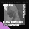 Portada ARLAW - Flow Through The Canyon (VegaZ SL Remix) ARLAW - Flow Through The Canyon (VegaZ SL Remix)