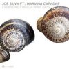 Portada Joe Silva - Everyone Finds a Way 2025 Joe Silva - Everyone Finds a Way 2025