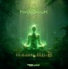 Portada Hydronium - Hydronium Ion (Original Mix) Hydronium - Hydronium Ion (Original Mix)