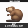 SLAVA SKRIPKA - Бобр (D. Anuchin Breaks Radio Edit)