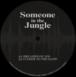 Portada Someone in the Jungle - Gunshot